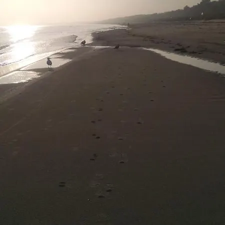 Strandkorbchen Breege